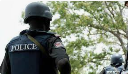 Nigerian Police Force