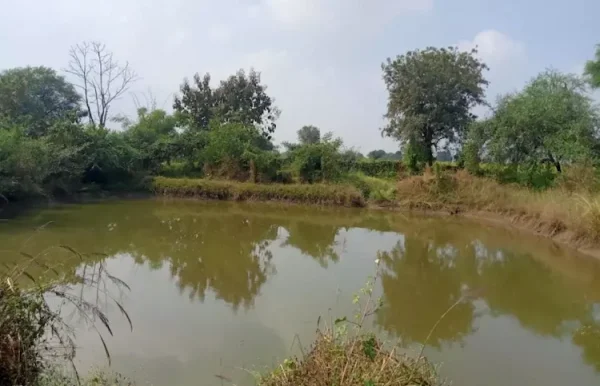 Photo illustration of a village pond
